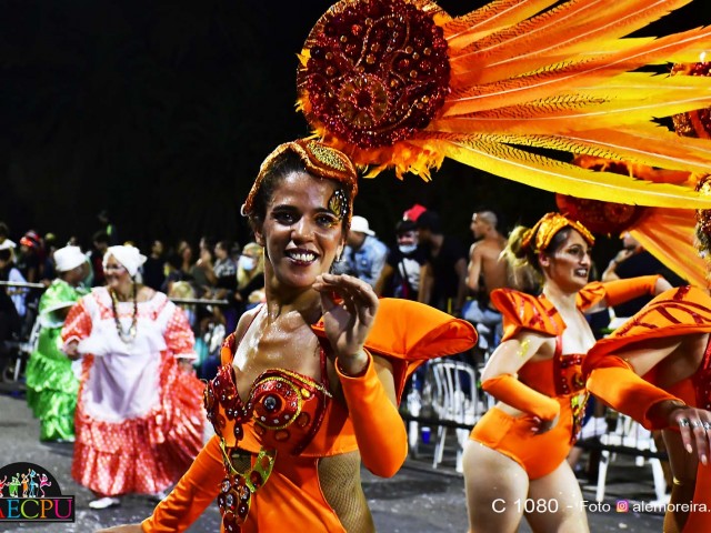 desfile 217